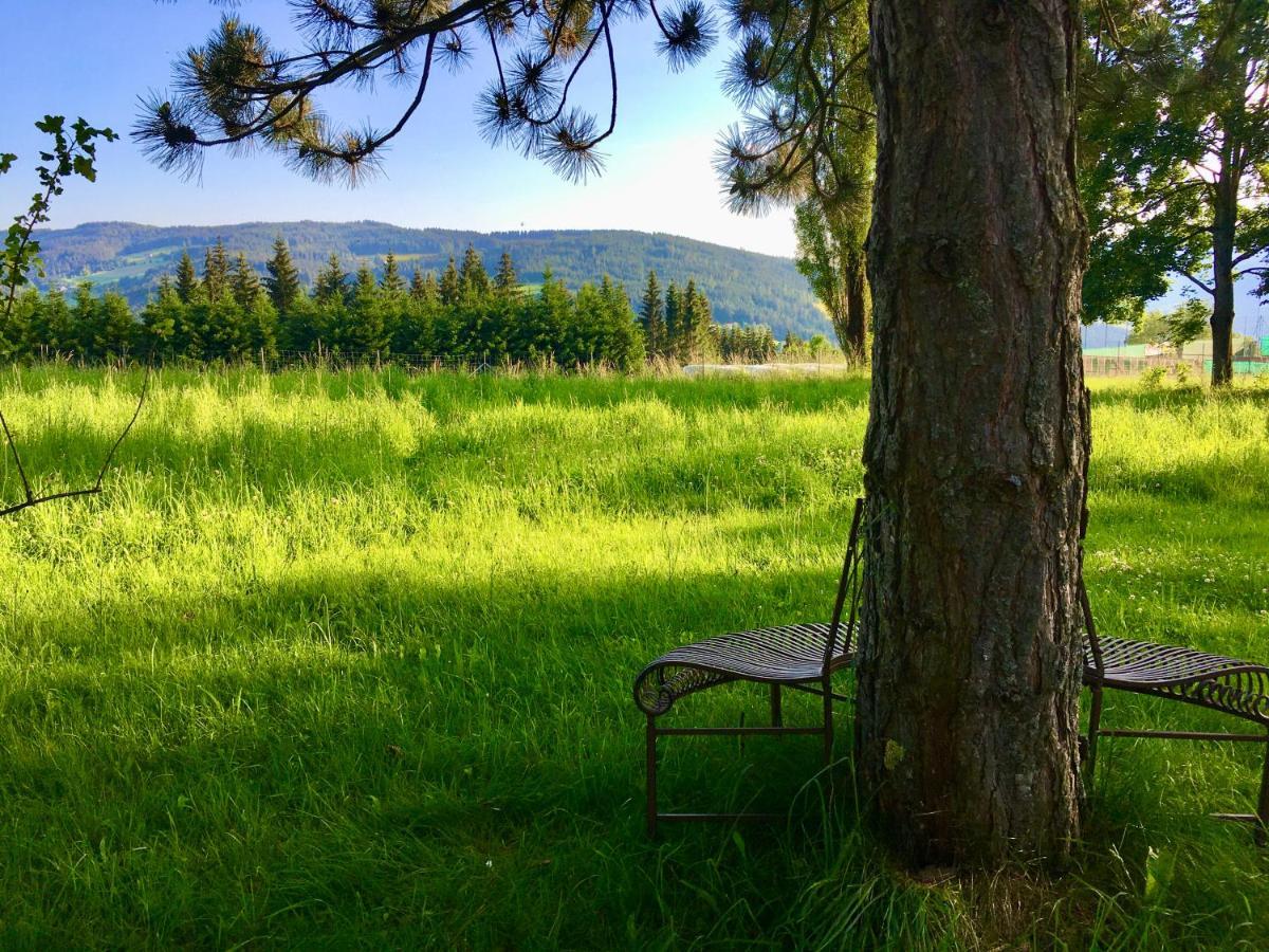 Naturforsthaus Eddas Zimmer Fuer Hunde - Und Naturverbundene Menschen Bed and Breakfast Preitenegg Eksteriør billede