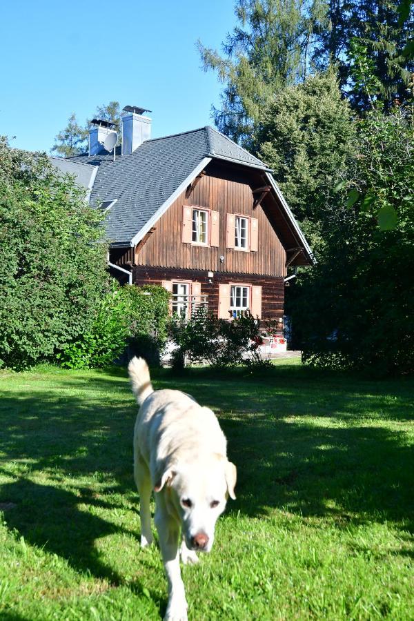 Naturforsthaus Eddas Zimmer Fuer Hunde - Und Naturverbundene Menschen Bed and Breakfast Preitenegg Eksteriør billede