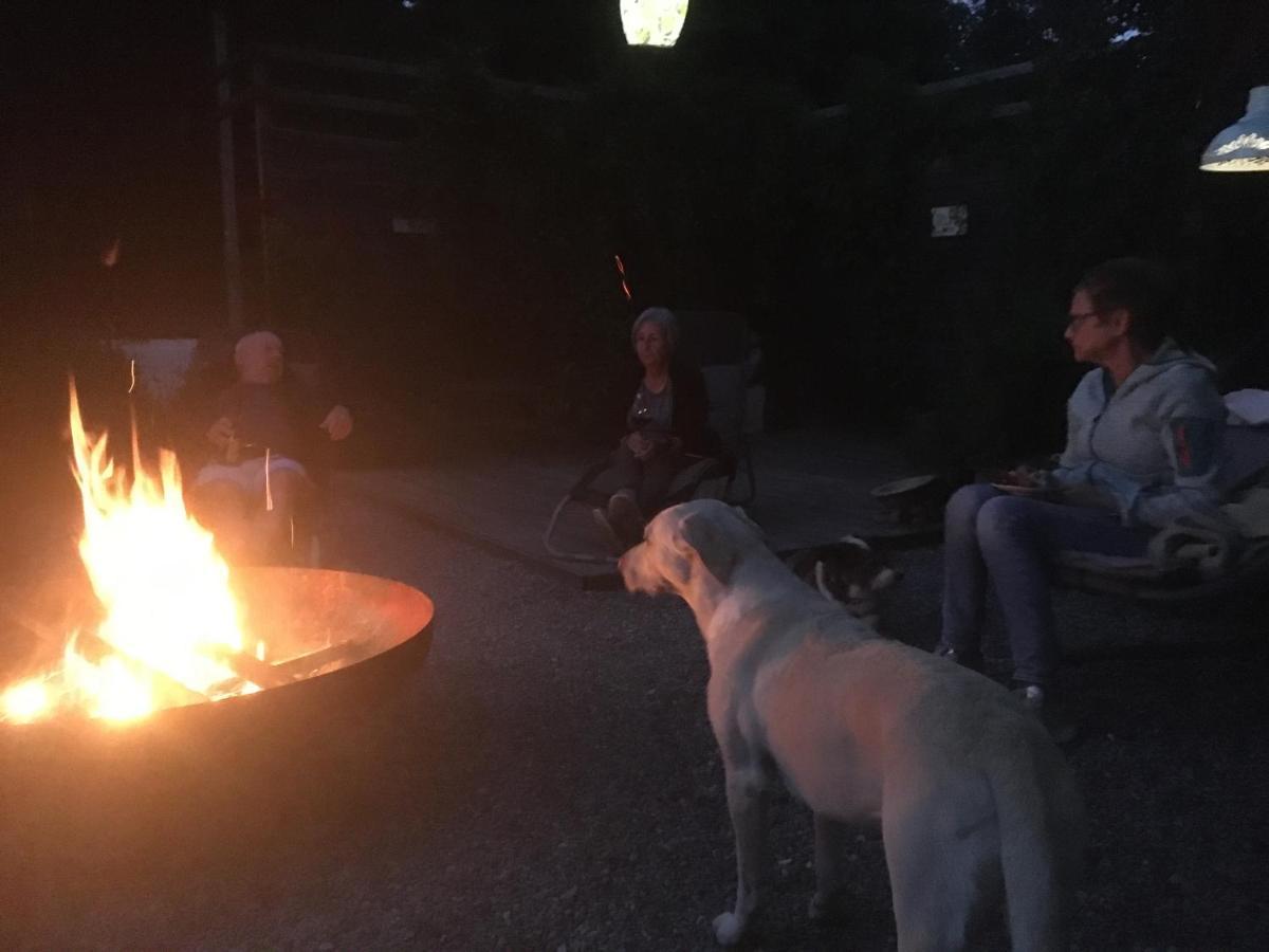 Naturforsthaus Eddas Zimmer Fuer Hunde - Und Naturverbundene Menschen Bed and Breakfast Preitenegg Eksteriør billede